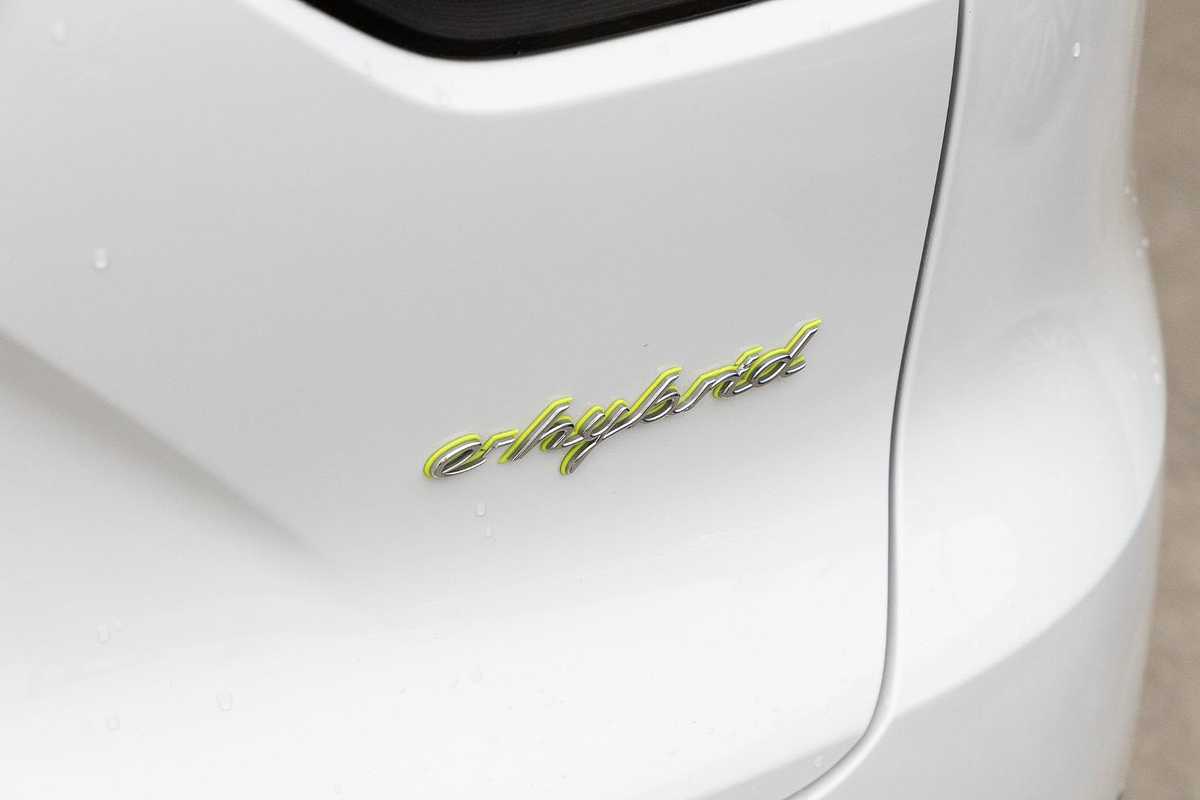 2019 Porsche Cayenne E-Hybrid 9YA
