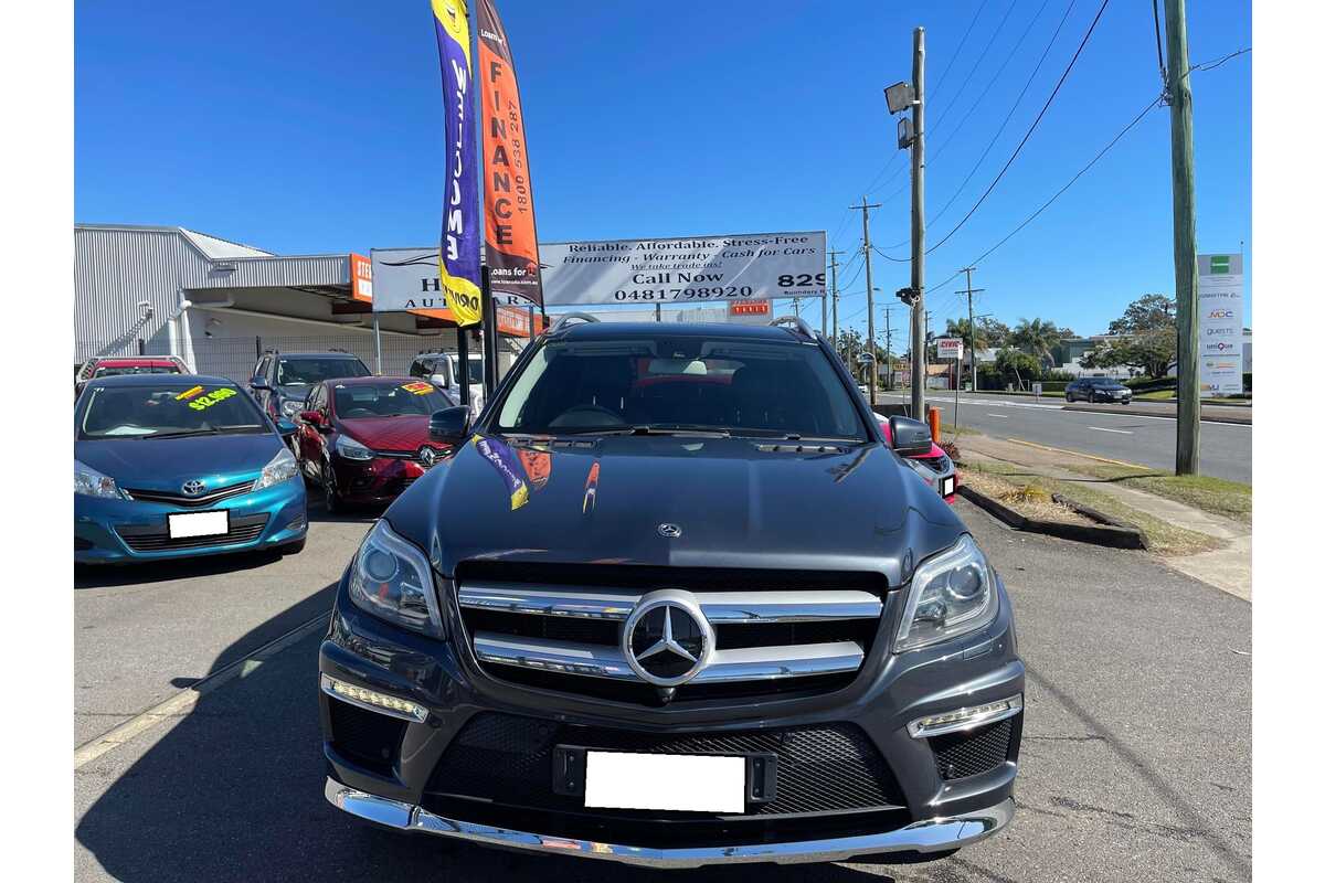 2013 Mercedes-Benz GL-Class GL500 X166
