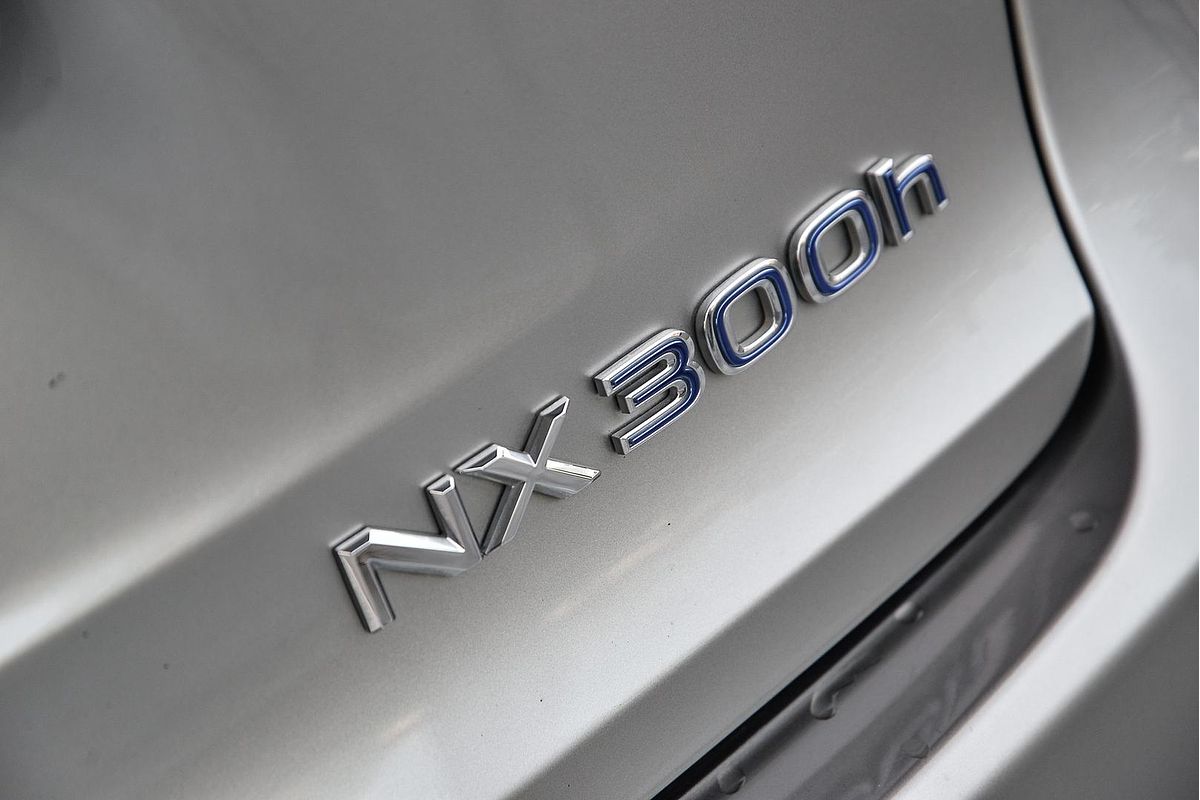 2020 Lexus NX NX300h F Sport AYZ10R