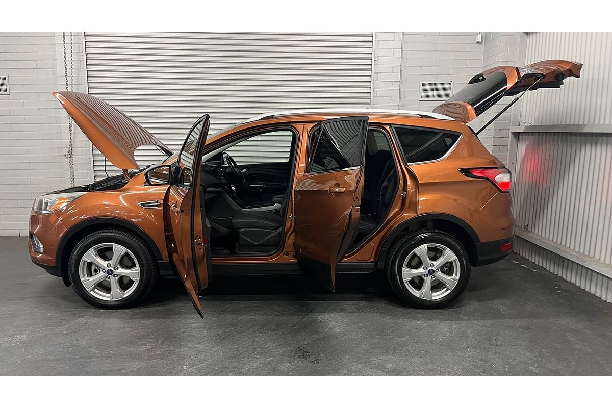 2017 Ford Escape Trend ZG
