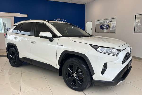 2019 Toyota RAV4 Cruiser AXAH54R