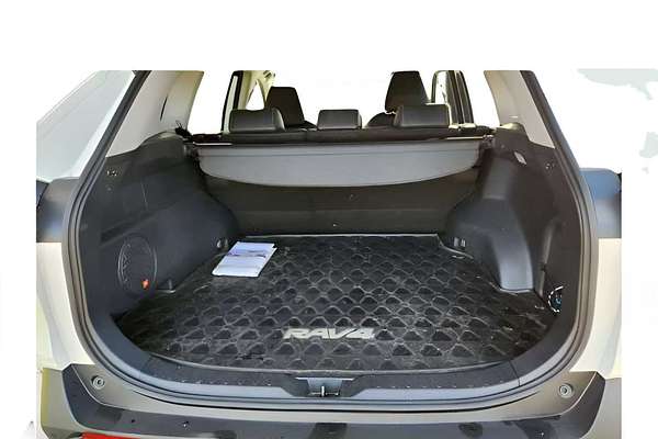 2020 Toyota RAV4 Cruiser AXAH52R