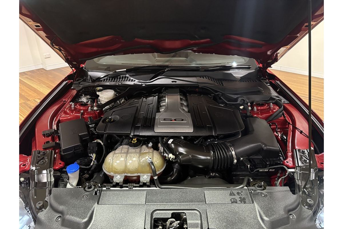 2019 Ford Mustang GT FN