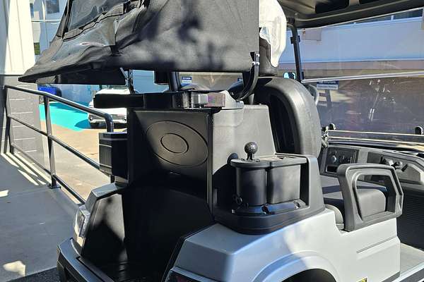 2024 LVTONG 2 Seater