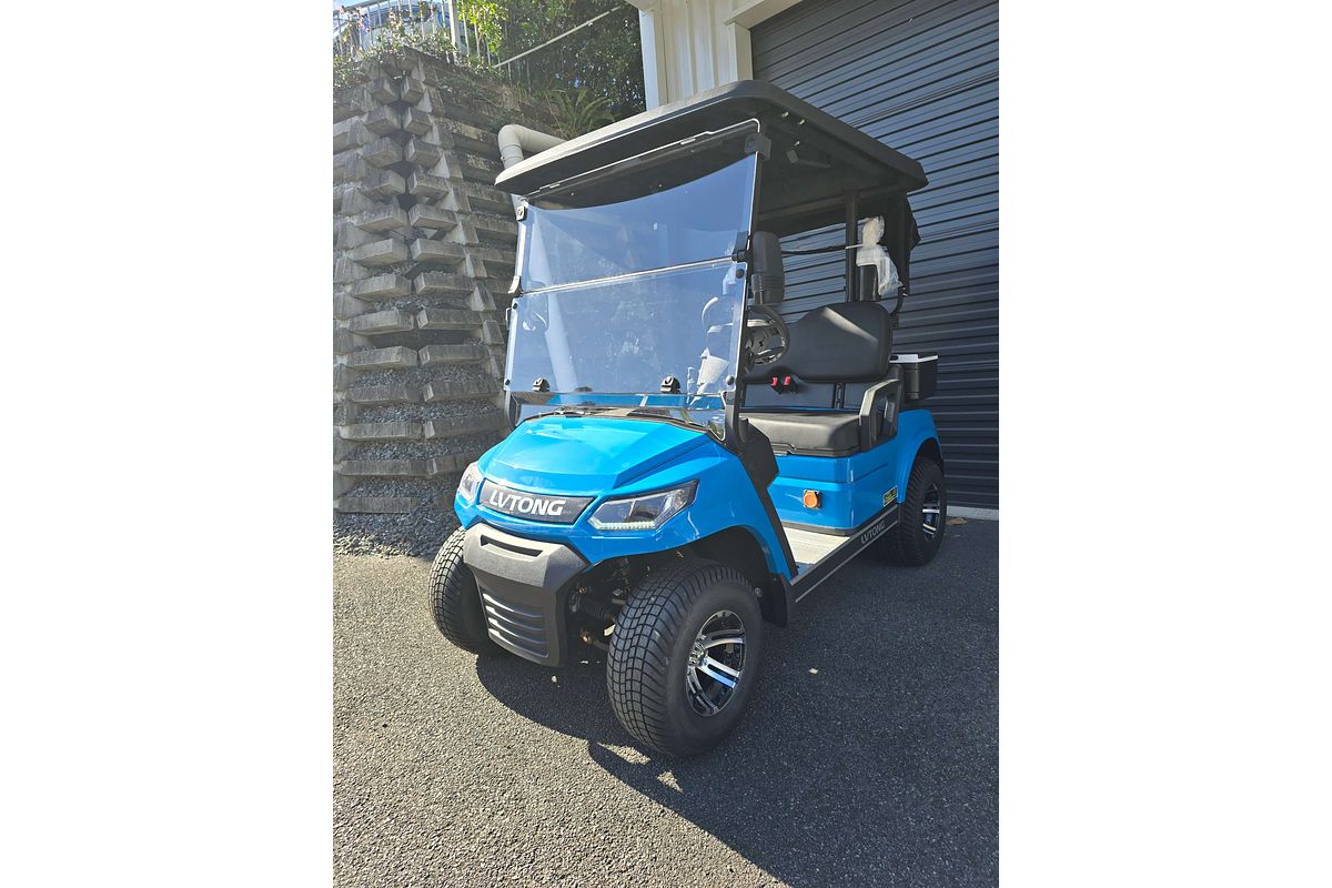 2024 LVTONG 2 Seater