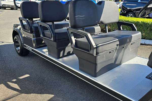 2023 LVTONG 6 Seater