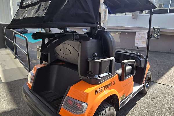 2024 LVTONG 2 Seater
