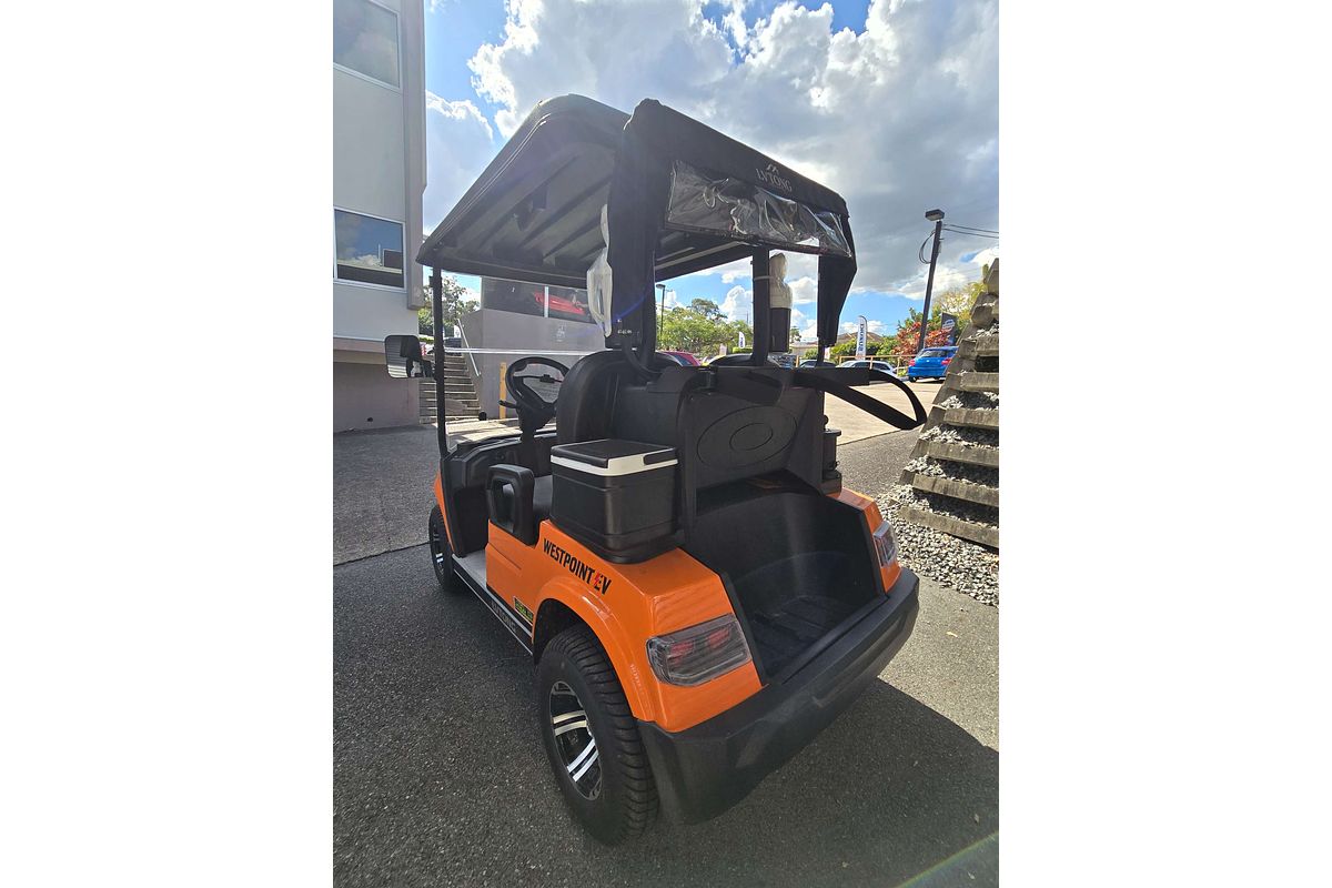2024 LVTONG 2 Seater