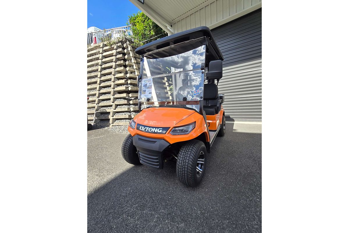 2024 LVTONG 2 Seater