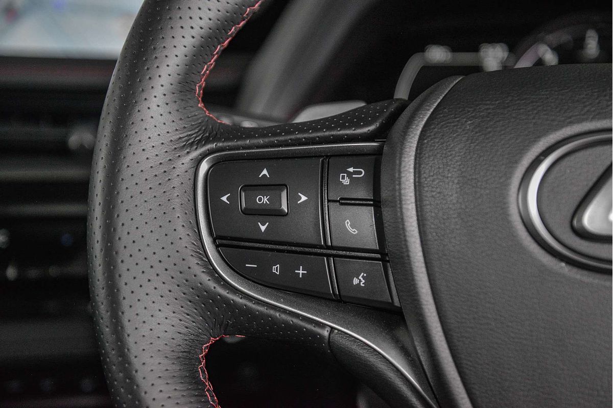 2022 Lexus UX UX200 F Sport MZAA10R