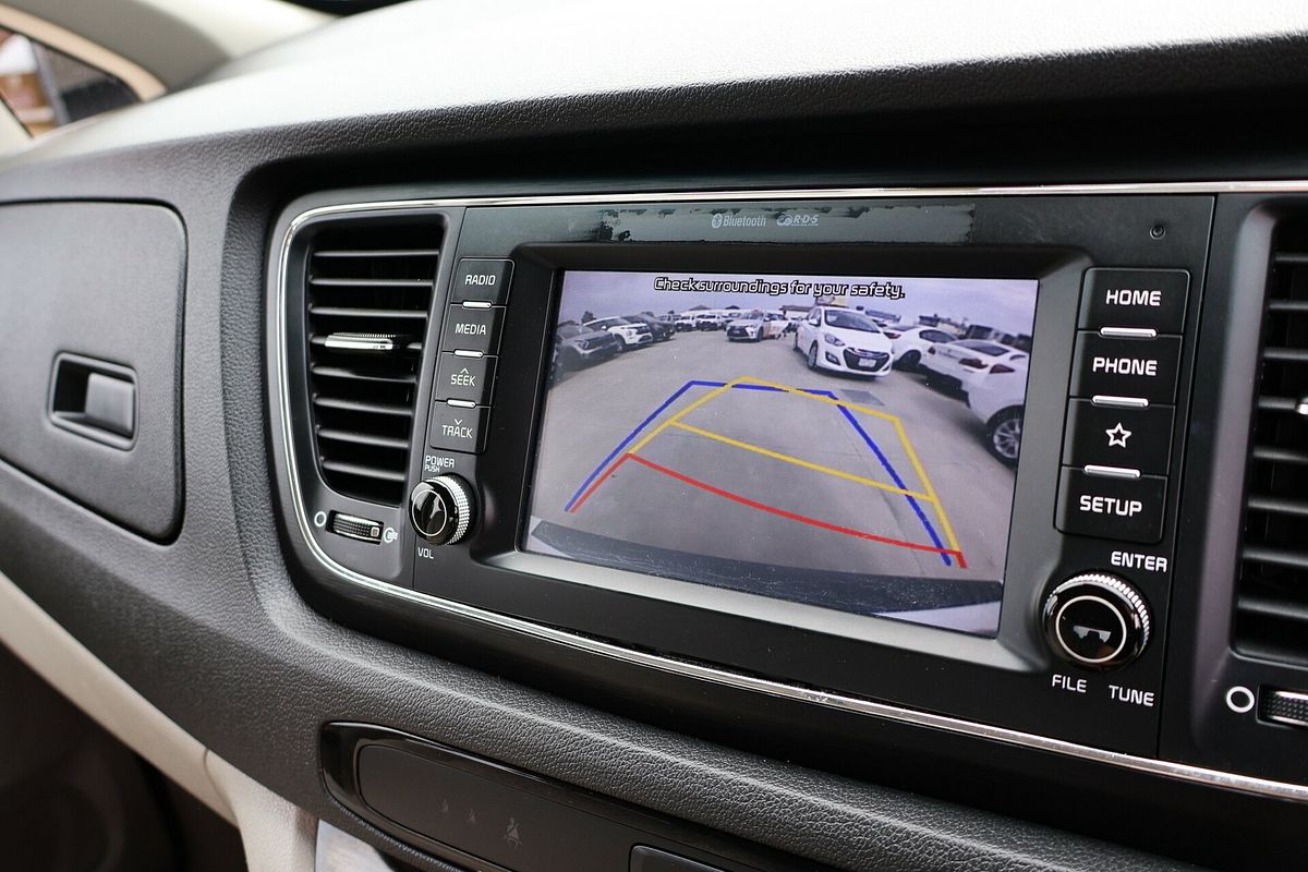 2019 Kia Carnival S YP