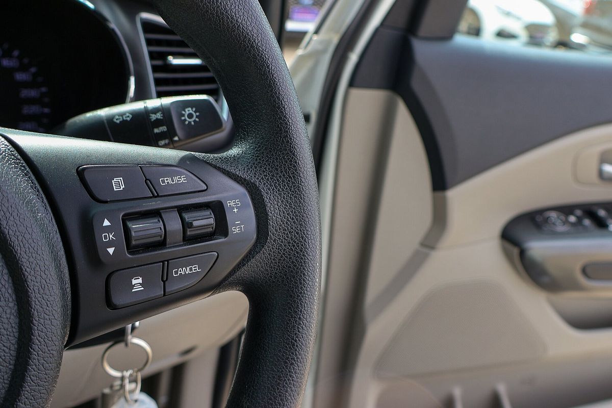 2019 Kia Carnival S YP