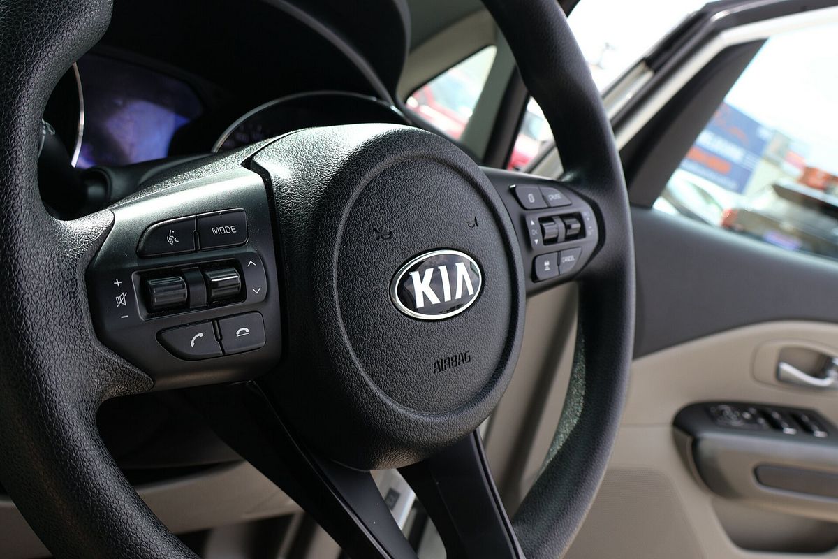 2019 Kia Carnival S YP