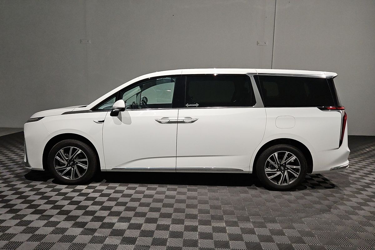 2023 LDV MIFA Executive