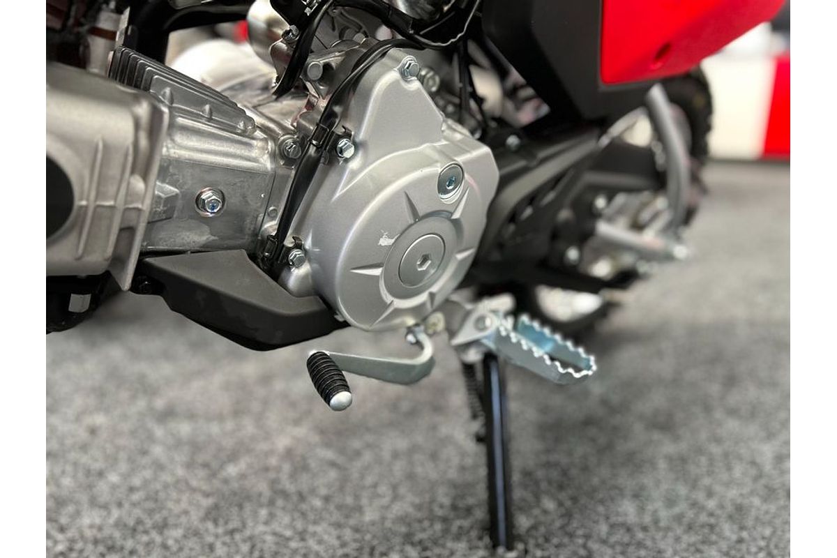 2024 Honda CRF110F