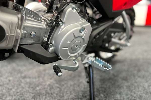 2024 Honda CRF110F