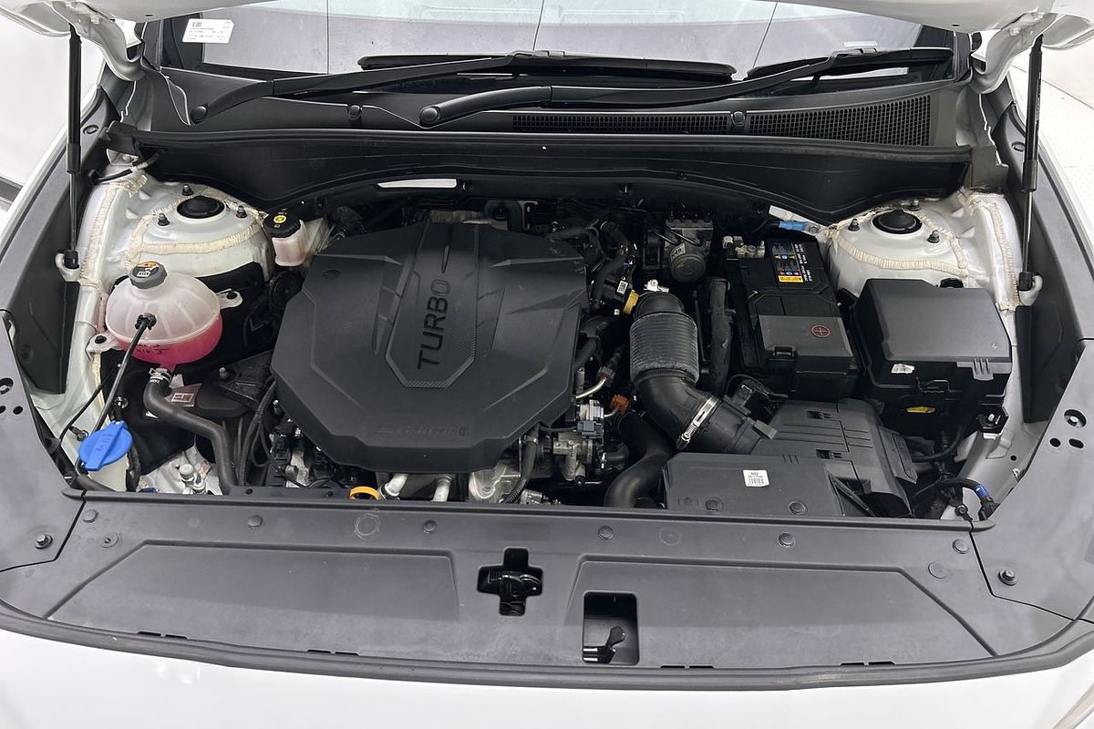2020 Hyundai Santa Fe TM.V3