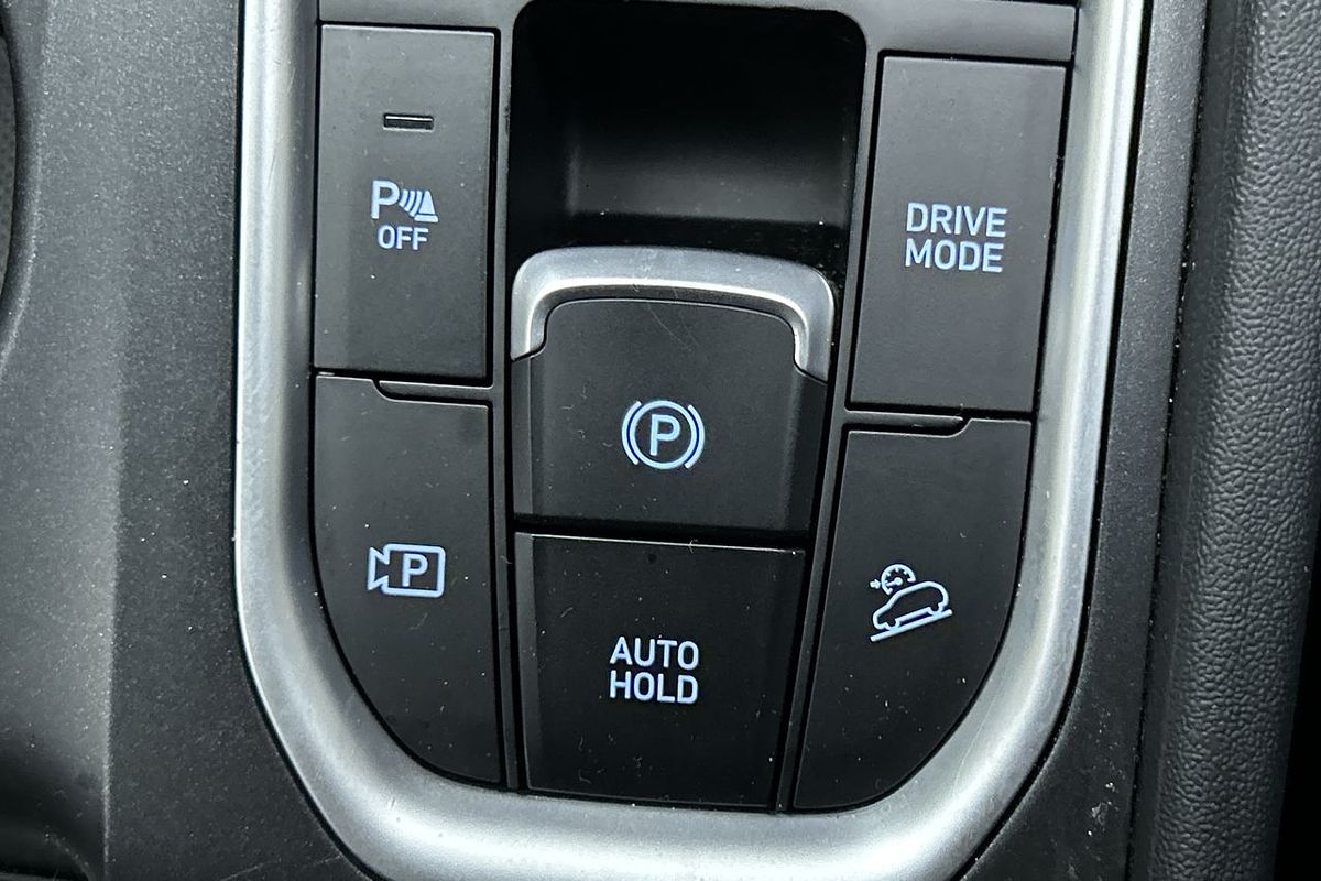 2020 Hyundai Santa Fe TM.V3