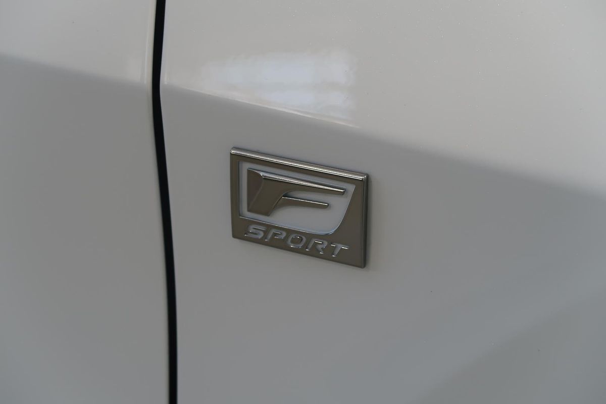 2020 Lexus RX RX300 F Sport AGL20R