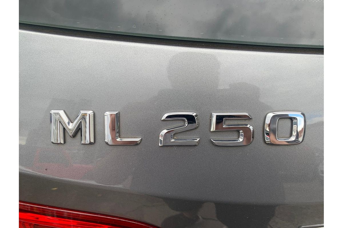 2013 Mercedes-Benz M-Class ML250 BlueTEC W166