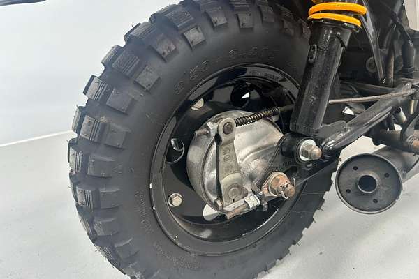 1983 Honda Gorilla Z50