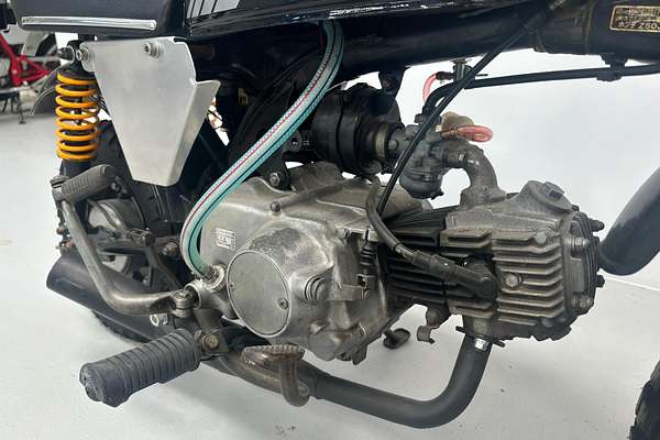 1983 Honda Gorilla Z50