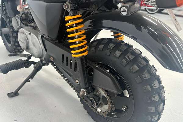 1983 Honda Gorilla Z50