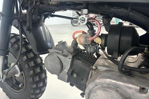 1983 Honda Gorilla Z50
