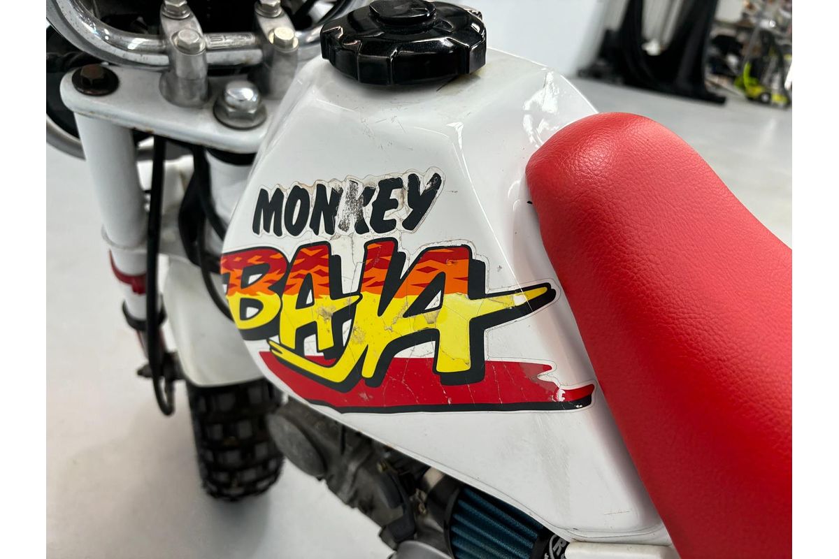 1991 Honda Monkey Baja 50