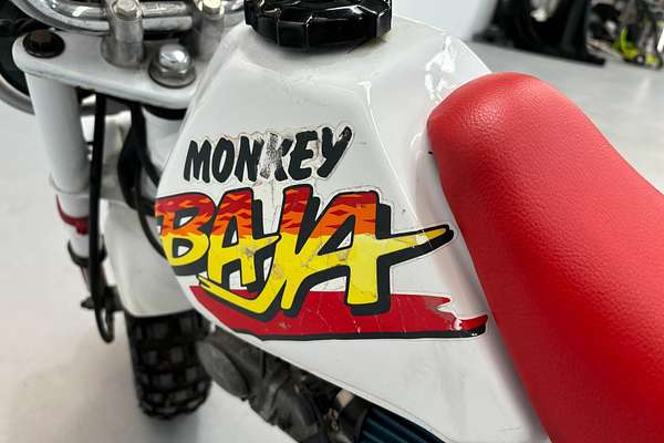 1991 Honda Monkey Baja 50
