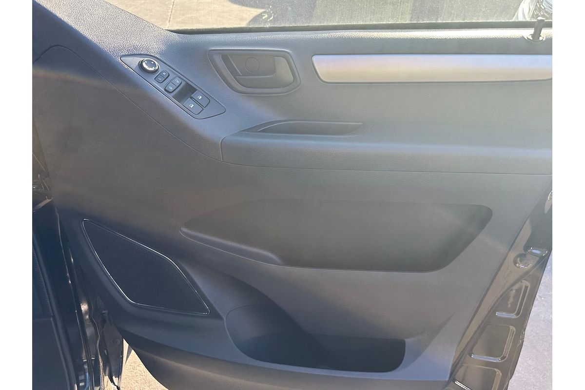 2023 LDV G10 + SV7C