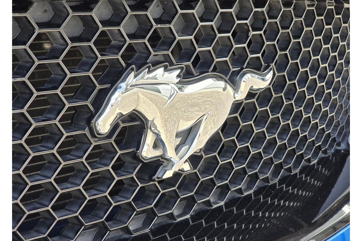 2019 Ford Mustang GT FN