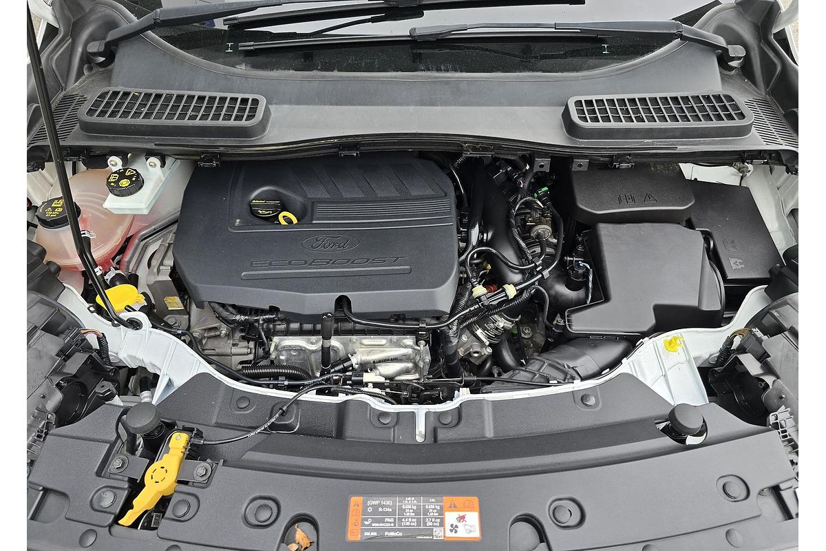 2017 Ford Escape Ambiente ZG
