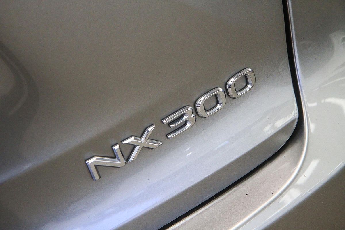 2021 Lexus NX NX300 Luxury AGZ10R