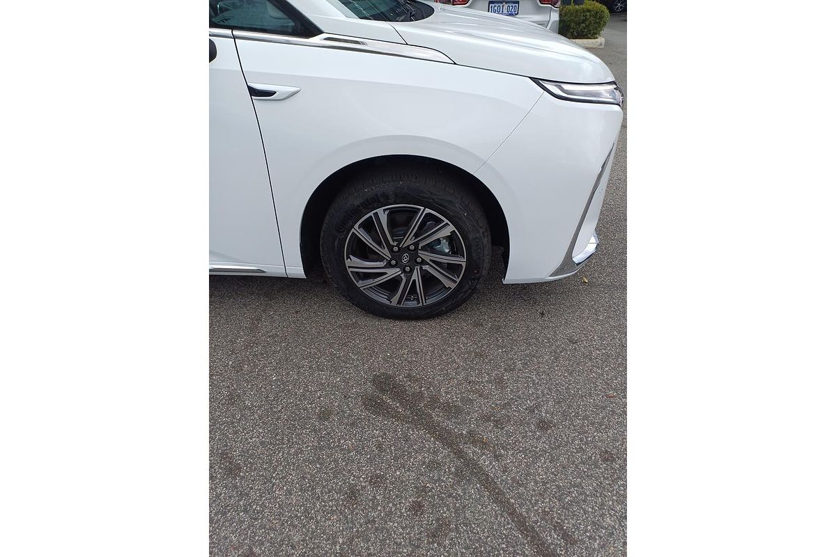2024 LDV MIFA Executive