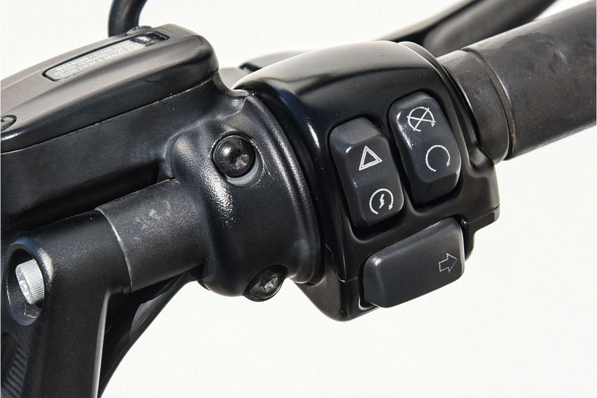 2019 Harley-Davidson FXDR 114 (FXDRS) Softail