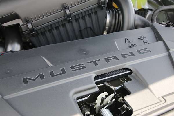 2024 Ford Mustang Ecoboost FO