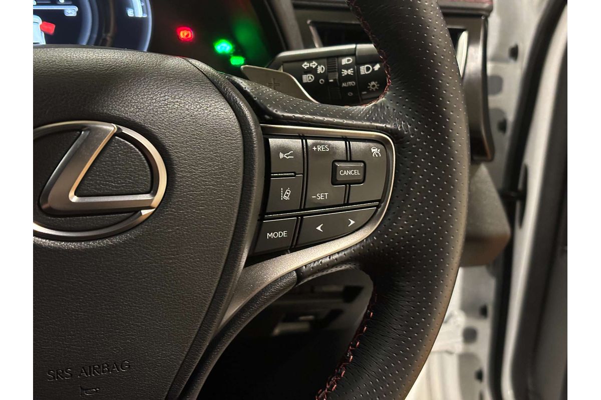 2022 Lexus UX UX250h F Sport MZAH10R
