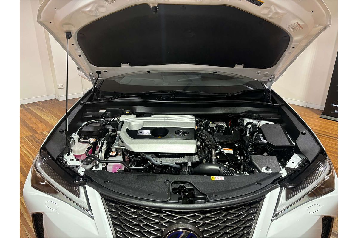 2022 Lexus UX UX250h F Sport MZAH10R