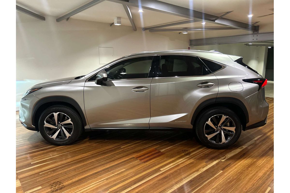 2021 Lexus NX NX300h Sports Luxury AYZ15R