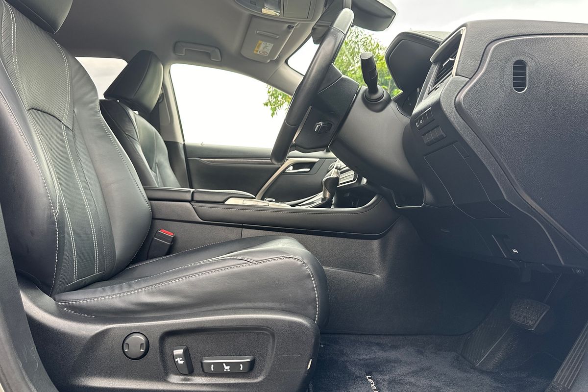 2019 Lexus RX RX300 Luxury AGL20R