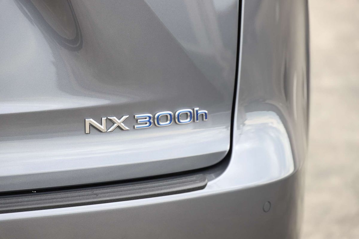 2021 Lexus NX NX300h Sports Luxury AYZ15R
