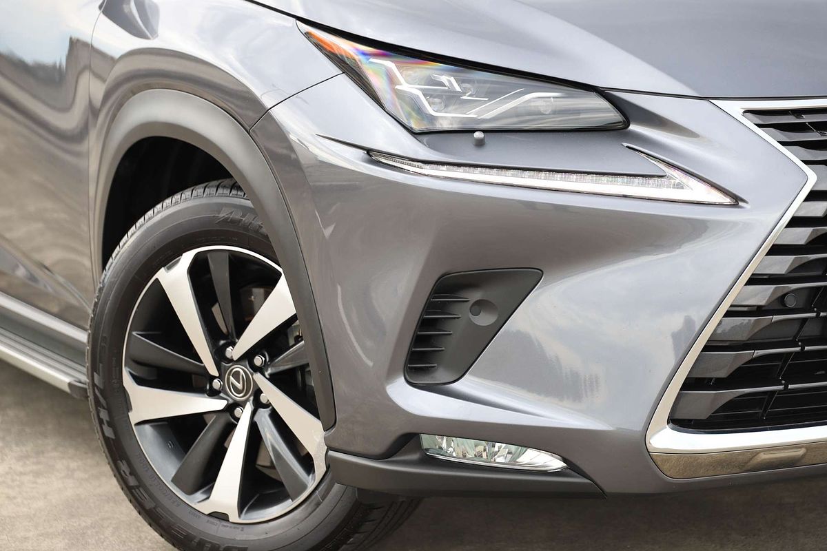 2021 Lexus NX NX300h Sports Luxury AYZ15R