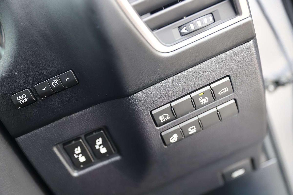 2021 Lexus NX NX300h Sports Luxury AYZ15R