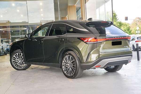 2023 Lexus RX RX350h Sports Luxury AALH15R