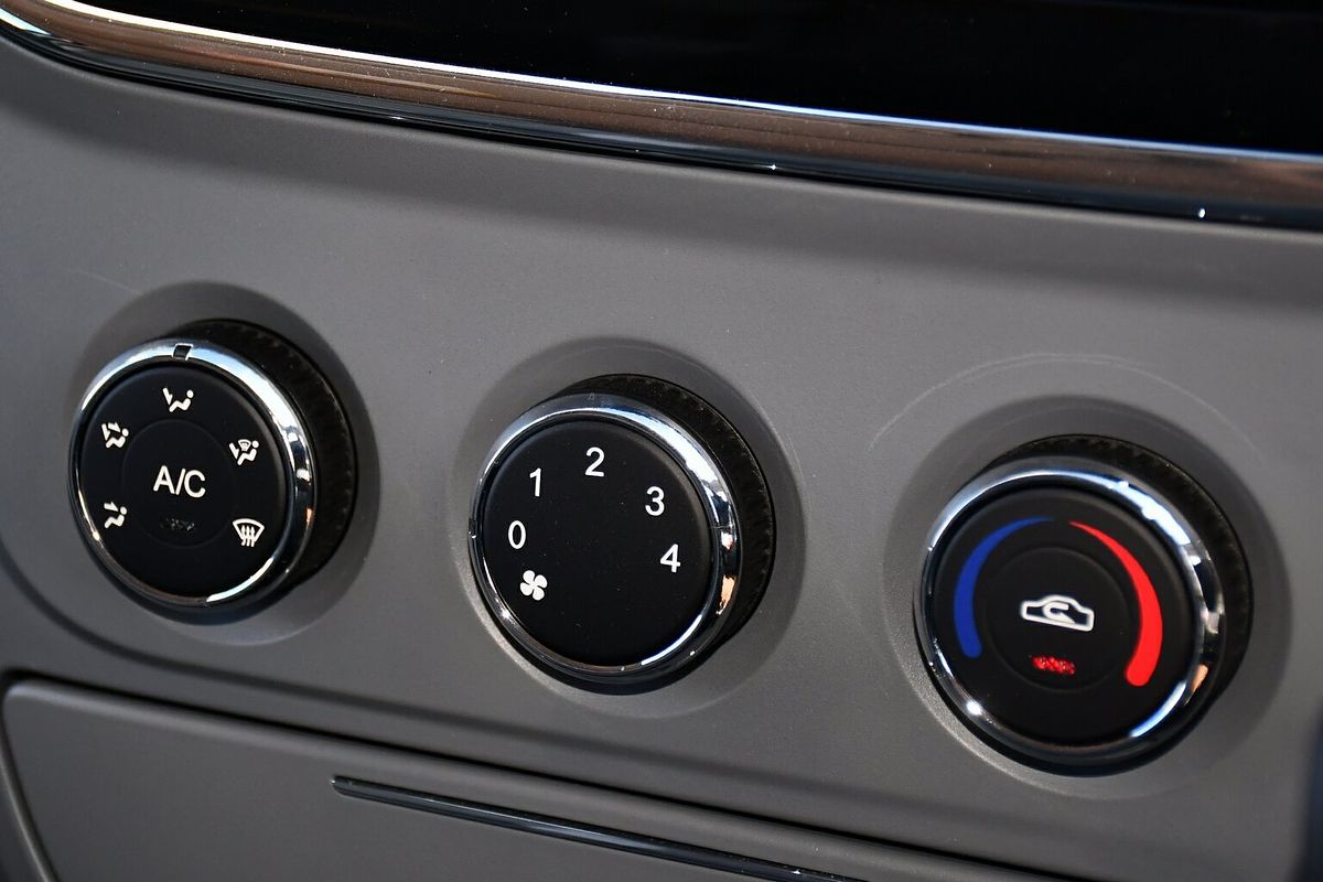 2023 LDV V80 SWB