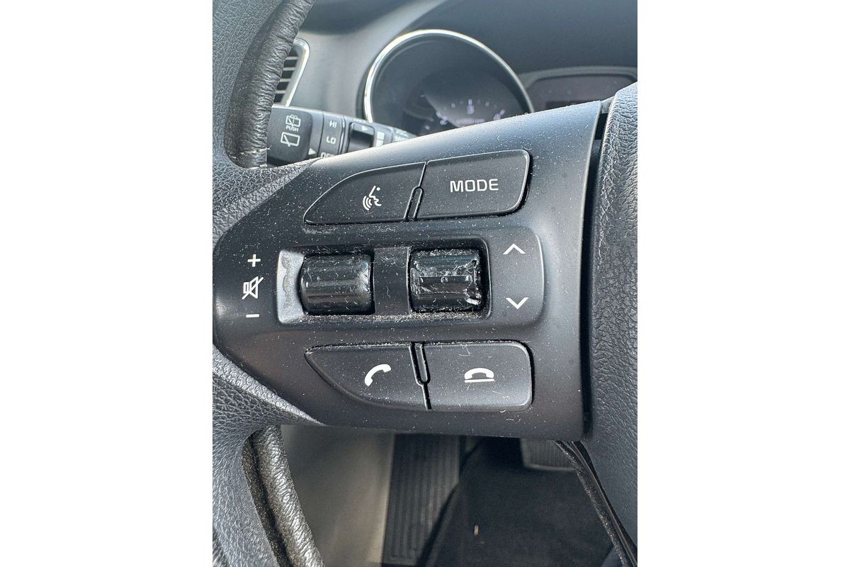 2018 Kia Carnival S YP