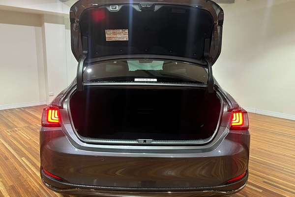 2022 Lexus ES ES250 F Sport AXZA10R