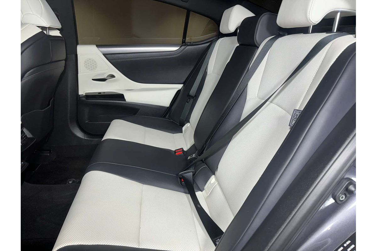 2022 Lexus ES ES250 F Sport AXZA10R