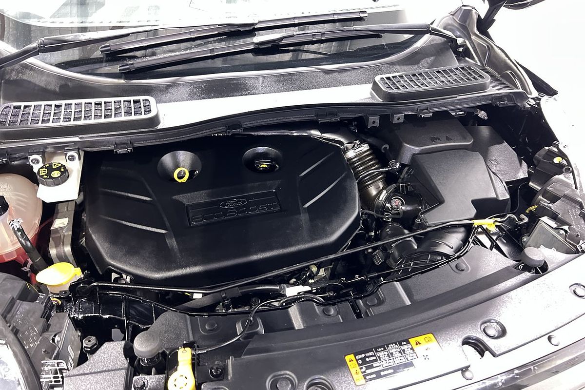 2019 Ford Escape ST-Line ZG